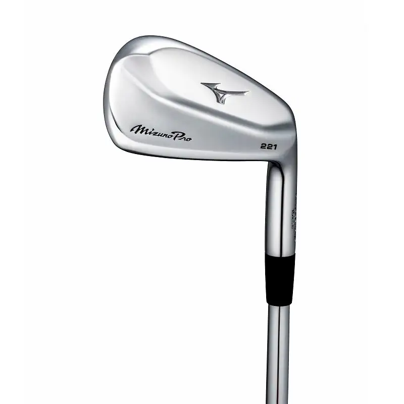 Mizuno Pro 221